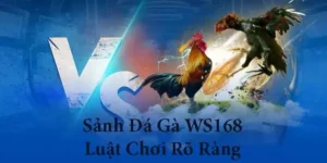 Cách Chơi Đá Gà WS168 Tại HipClub Hướng Dẫn Chi Tiết Và Mẹo