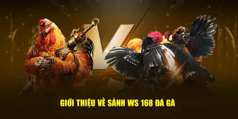 Cách Chơi Đá Gà WS168 Tại HipClub Hướng Dẫn Chi Tiết Và Mẹo 2 Cách Chơi Đá Gà WS168 Tại HipClub Hướng Dẫn Chi Tiết Và Mẹo