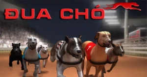 Cách Chơi Game Nhanh Đua Chó Tại HipClub Mẹo Cược Tốc Hành Hiệu Quả